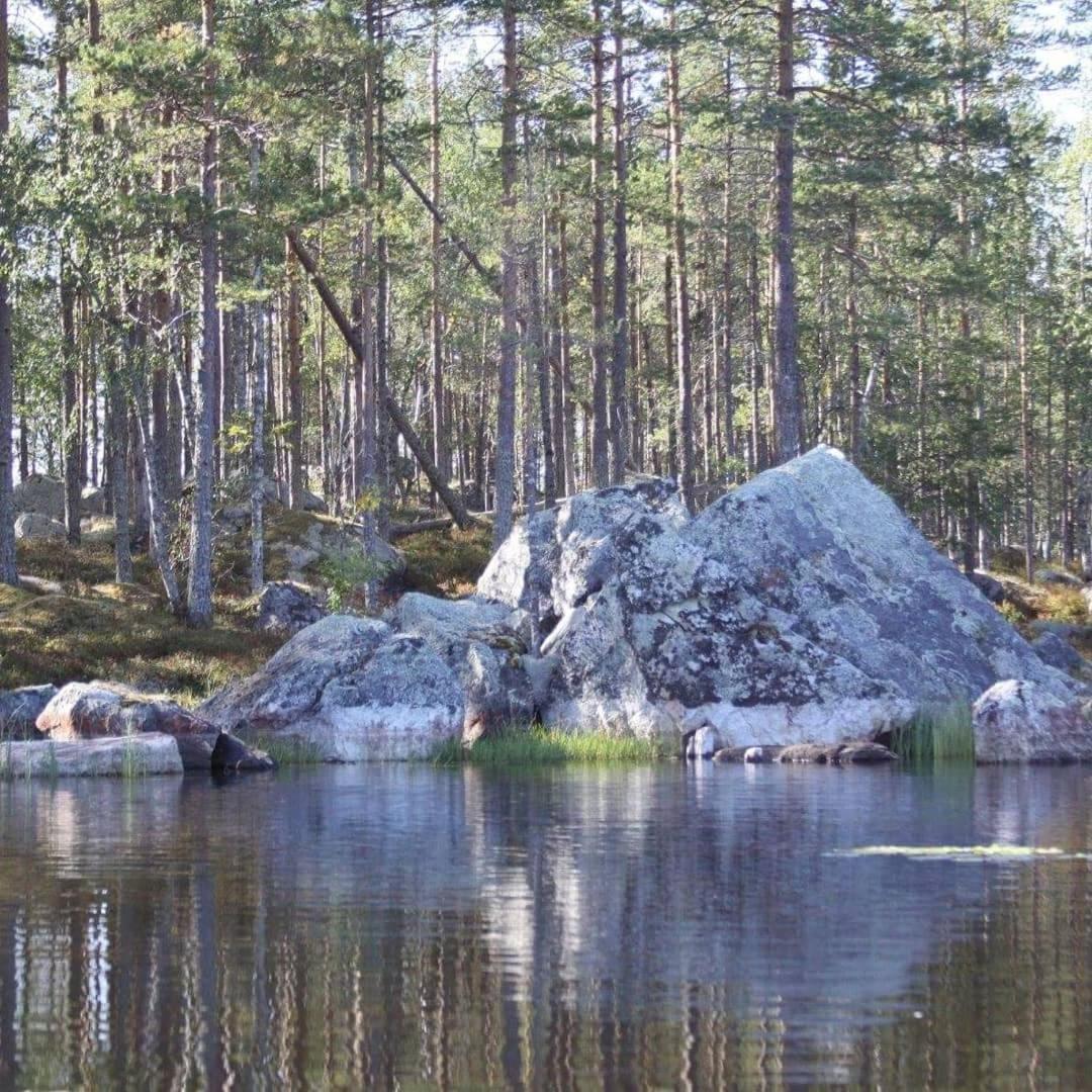Hamra Stugby - Nature Adventures Hamra Kültér fotó